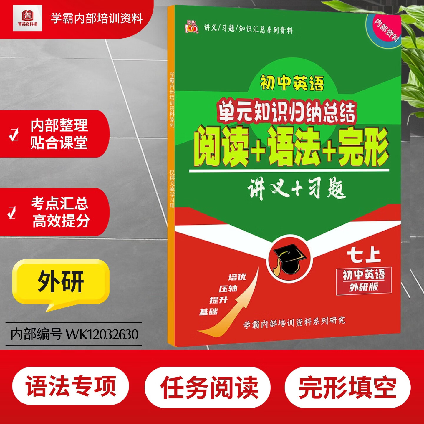 新外研七下英语语法专项训练任务型阅读理解完型填空语篇填空词汇短语知识点培训用资料专项课业本 【外研七上3本】语法+完形+阅读