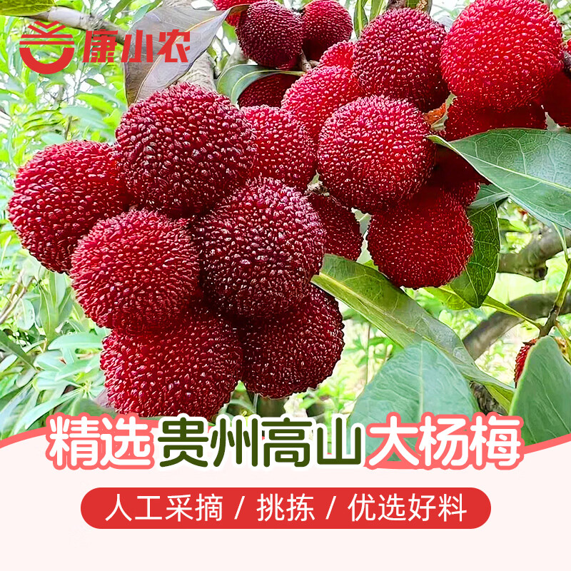 康小农贵州冰杨梅汁饮料果汁正宗传统熬制酸梅汤孕妇果蔬汁网红冰饮整箱 380ml*6瓶/箱 【先熬后榨 传统工艺】1箱