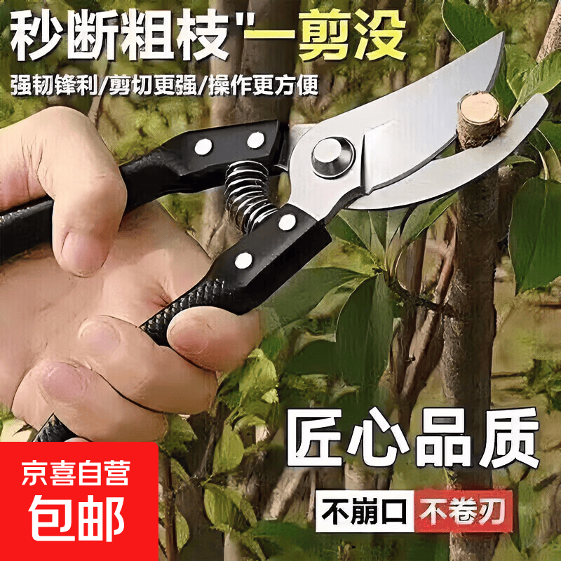【全网热卖】强力剪园艺剪不锈钢剪刀剪枝剪省力剪子修花修枝剪刀 【厚度升级】SK5园艺剪 1把装