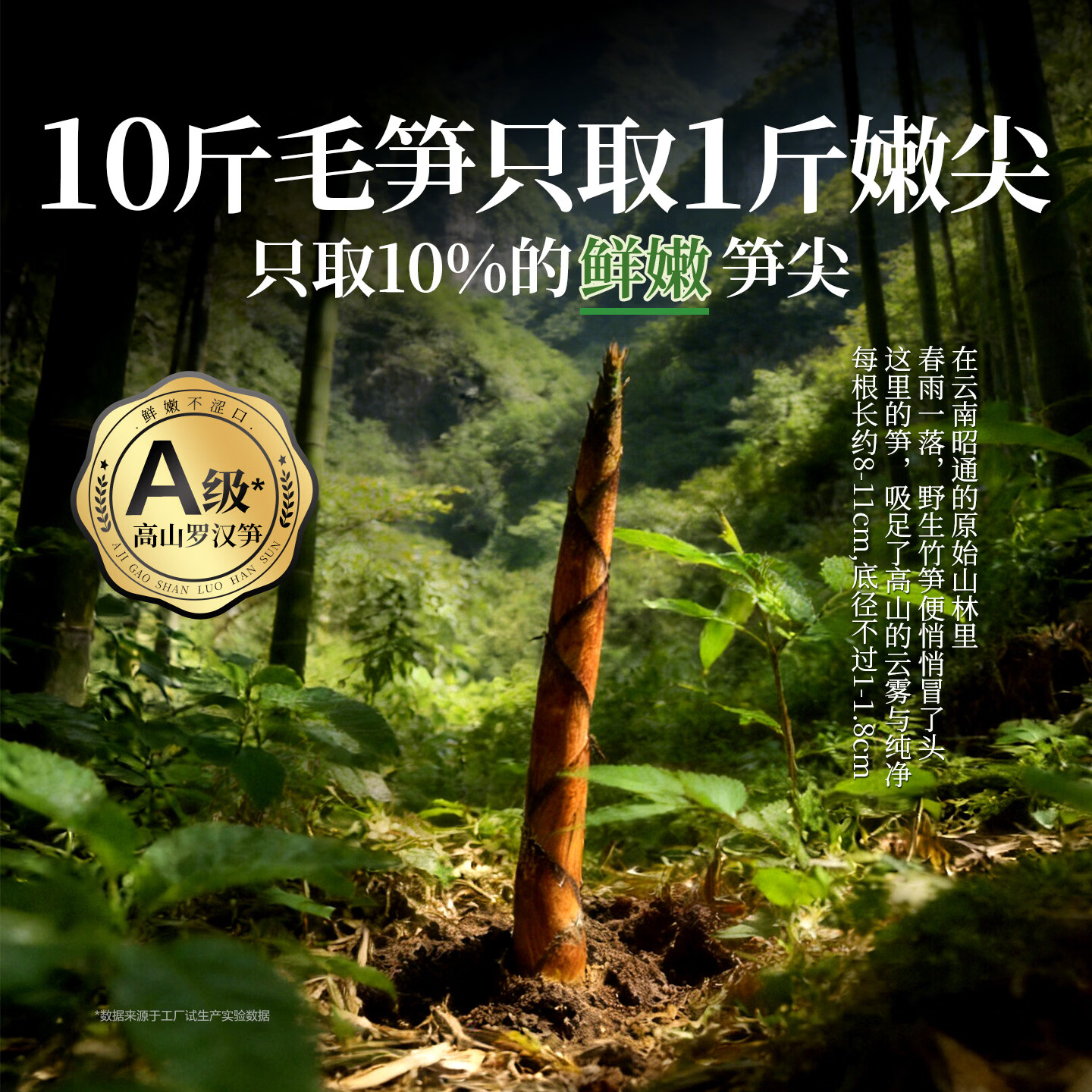 良品铺子泡椒味野山笋尖嫩笋尖开袋即食量贩装酸辣脆笋下饭休闲零食 【云南高海拔笋尖】泡椒野山笋598g约20袋