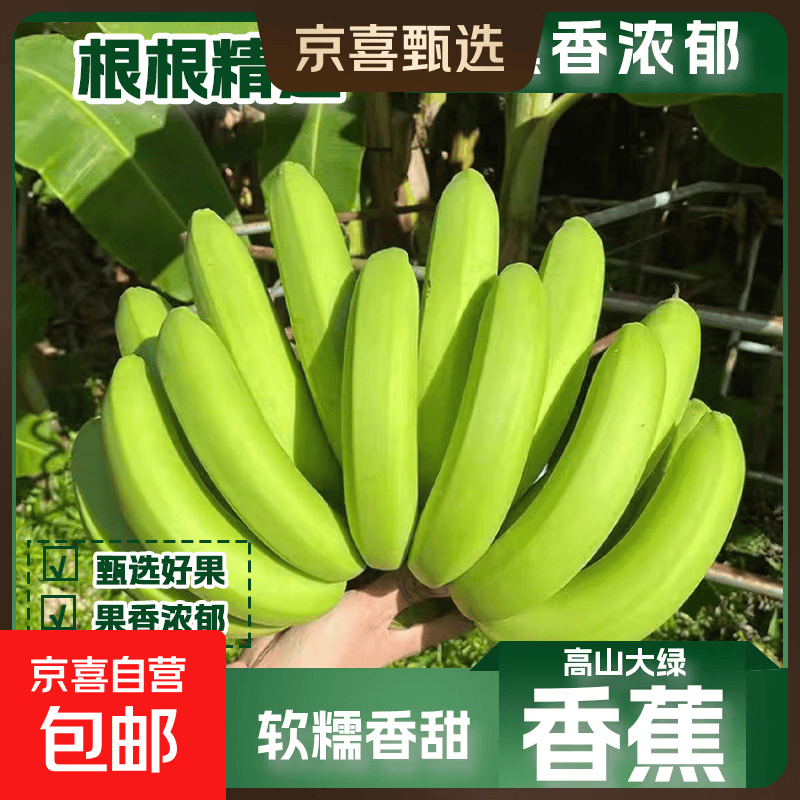 京喜加正宗广西香蕉高山大香蕉甜蕉薄皮青皮当季水果新鲜现采骐鲜园13 香蕉 带箱2斤净重1.6-1.8斤