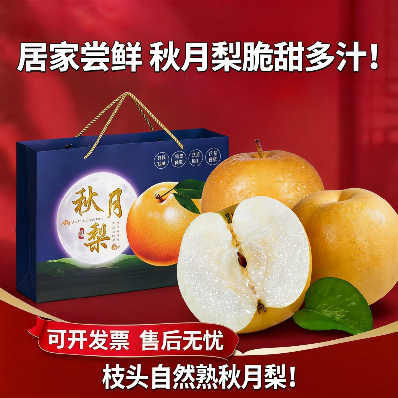 闽农语果山东秋月梨应季水果梨子新鲜水果中秋佳品送礼生鲜水果秋月梨 5斤普装【活动特惠款 | 单果250g+】净重4.5斤