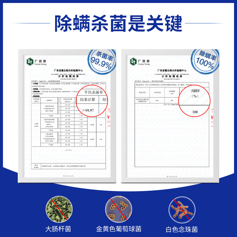 绿伞洗衣机槽杀菌除螨清洁液 全自动滚筒波轮专用内筒净 机槽清洁剂 660g*2瓶