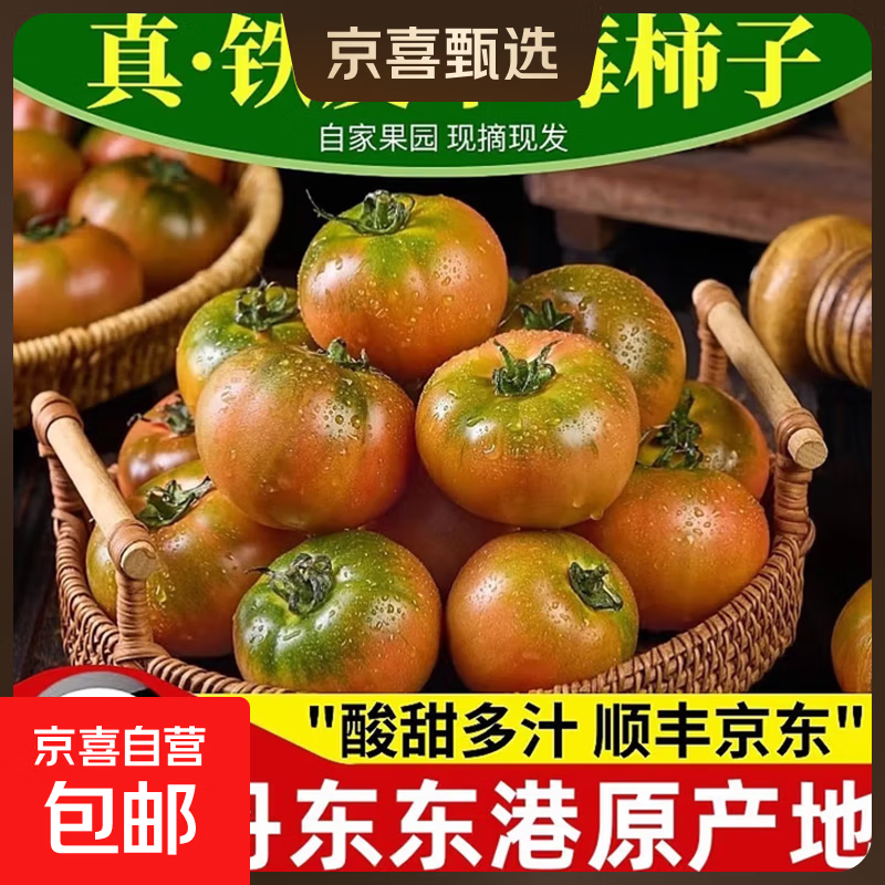 丹东草莓西红柿铁皮柿子水果味番茄产地直发新鲜蔬菜生鲜 净重 5斤 家庭装