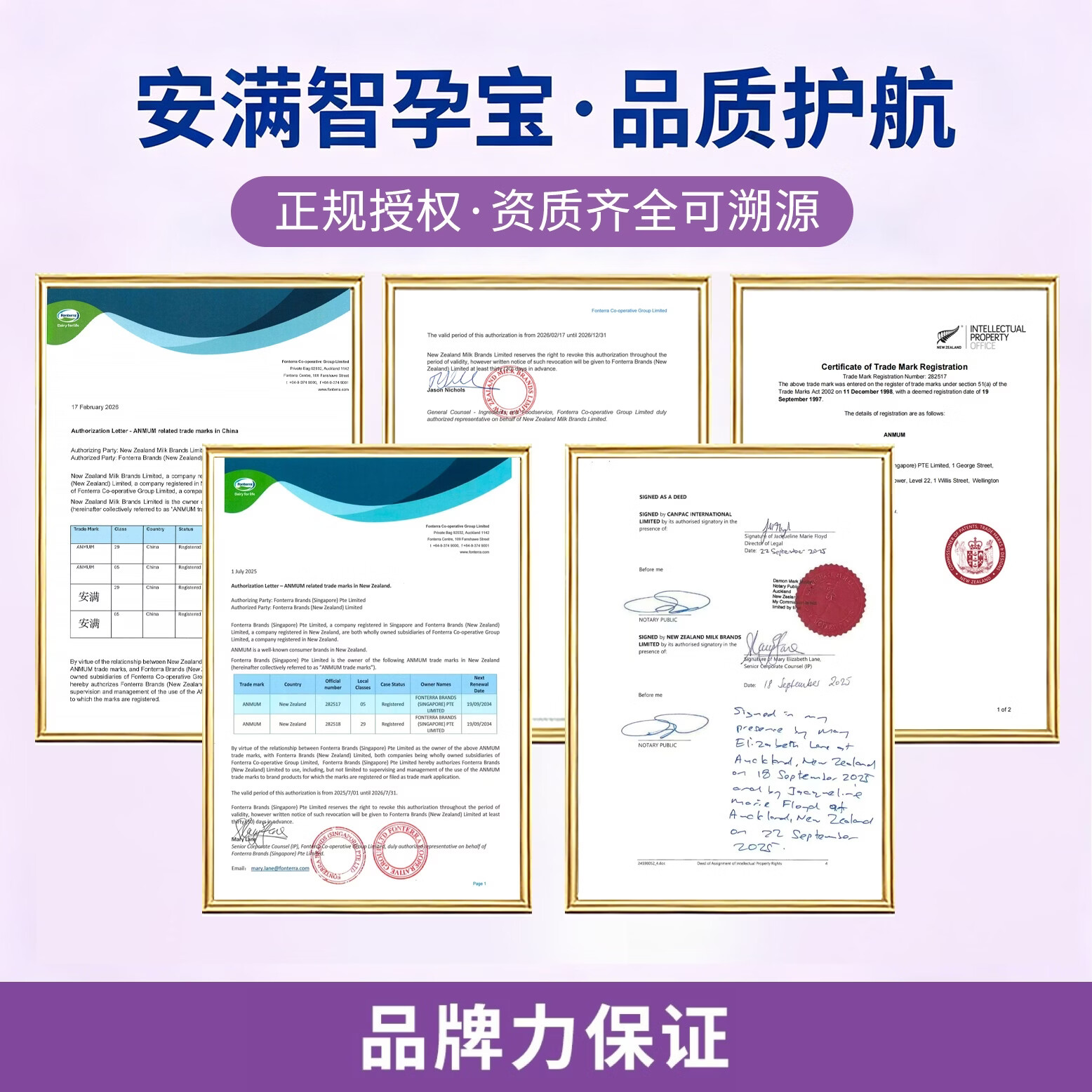 ANMUM安满智孕宝孕产妇奶粉 叶酸益生菌DHA 备孕期孕期哺乳期乳粉800g 孕产妇营养备孕孕期奶粉3罐