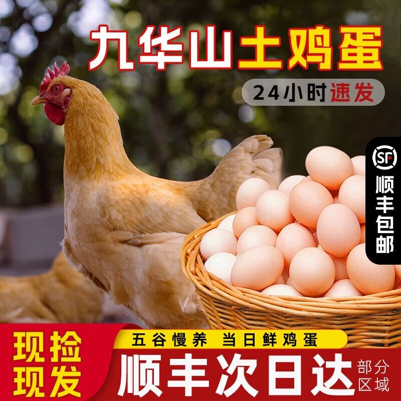 包邮山散养66枚土鸡蛋笨鸡蛋柴鸡蛋月子蛋无沙门氏菌 30枚棉发货