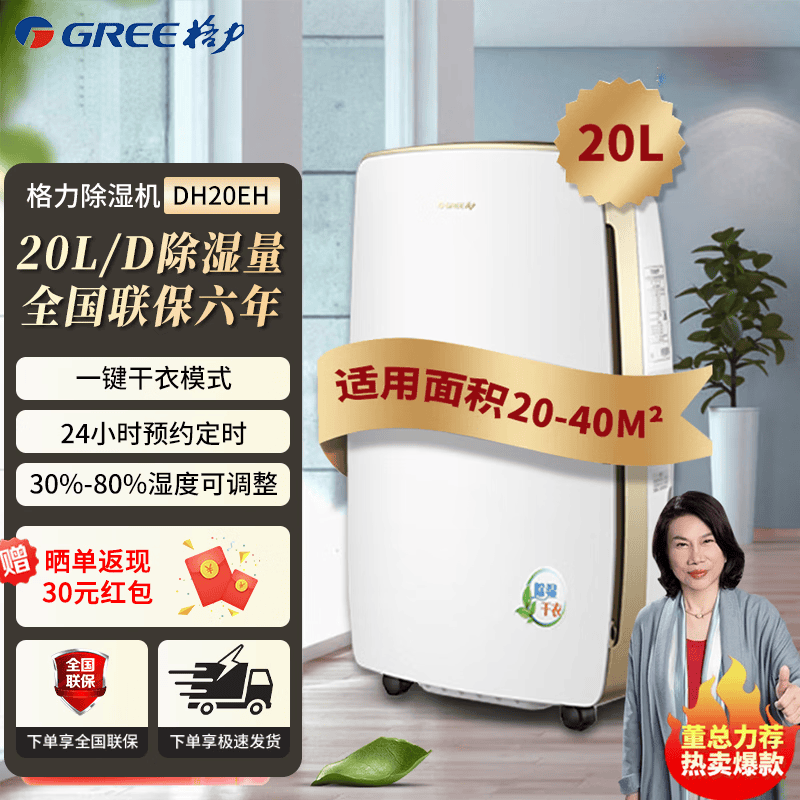 格力（GREE）除湿机家用客厅卧室智能除湿器轻音全屋祛味除潮湿气抽湿机室内吸湿机湿器地下室干燥机回南天除湿 20L/天 20-40㎡ DH20EH