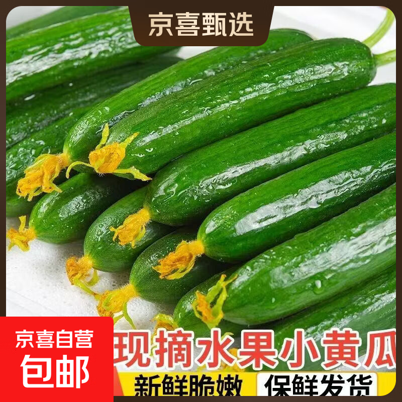 京喜加【东东买菜】寿光水果黄瓜无刺小黄瓜小青瓜生吃新鲜瘦身减脂蔬菜 黄瓜新鲜净重 5斤
