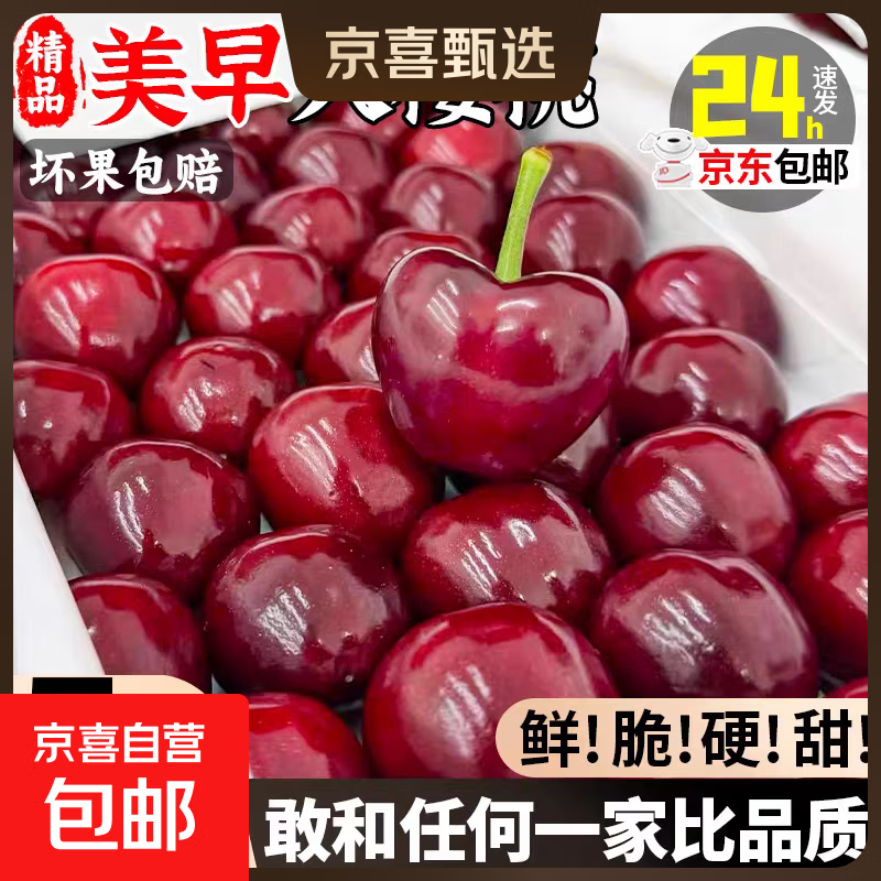 大连美早大樱桃国产车厘子5j孕妇应季新鲜水果礼盒4j整箱京东包邮 250g(净重) 尝鲜装 大果 J 单果26-28mm