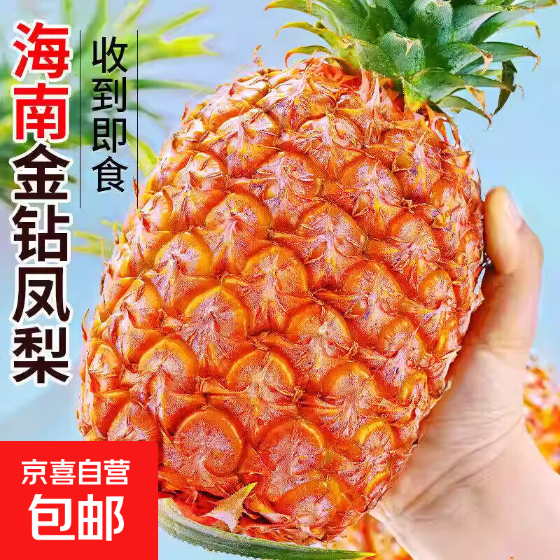 京喜加海南金钻凤梨新鲜水果应季特大果香甜爆汁果肉细腻树上自然熟现摘 中果 3个装净重4.5-5斤