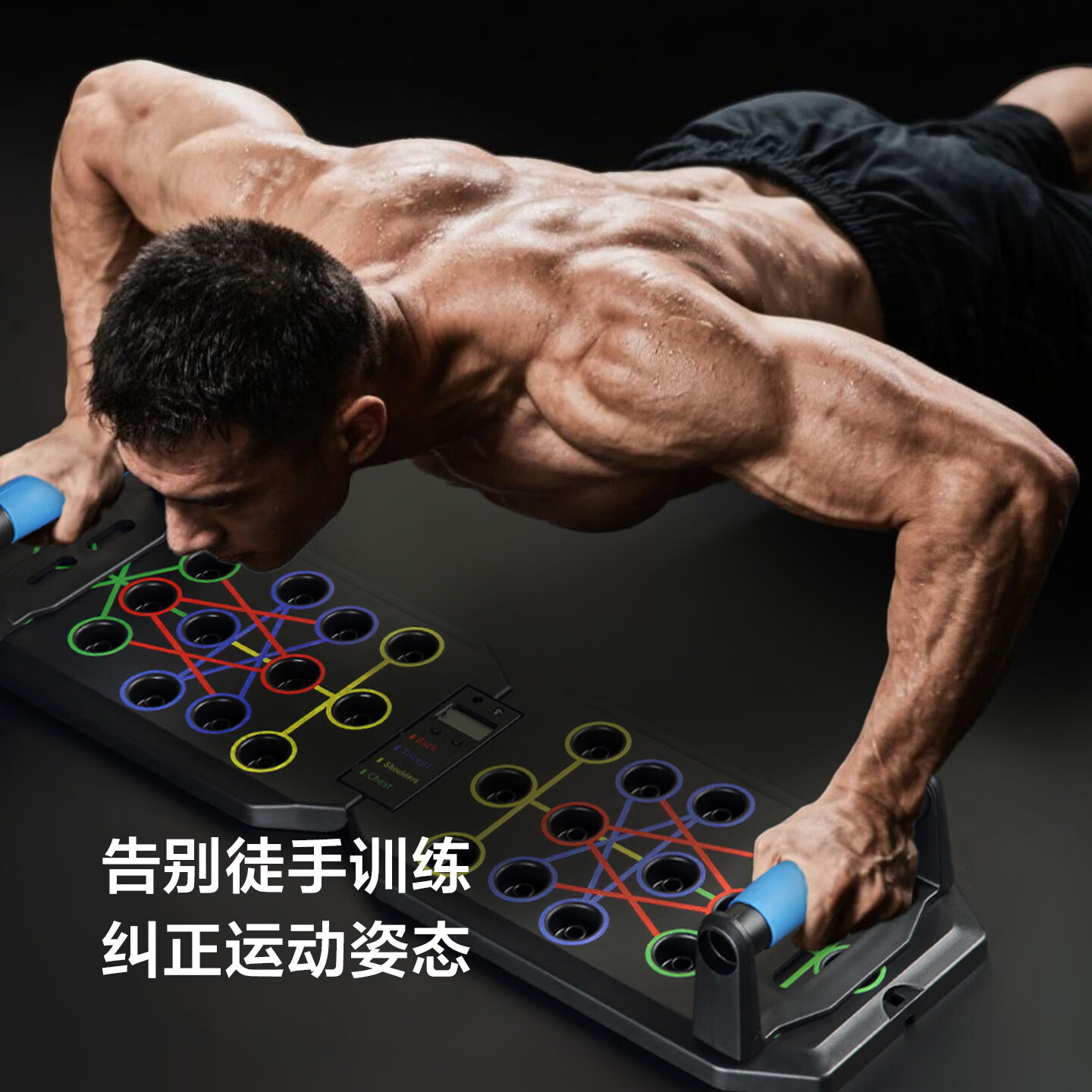 乐动力 多功能俯卧撑支架训练板男练腹肌胸肌平板支撑一体训练家用健身 【俯卧撑板】升级折叠-包胶握把
