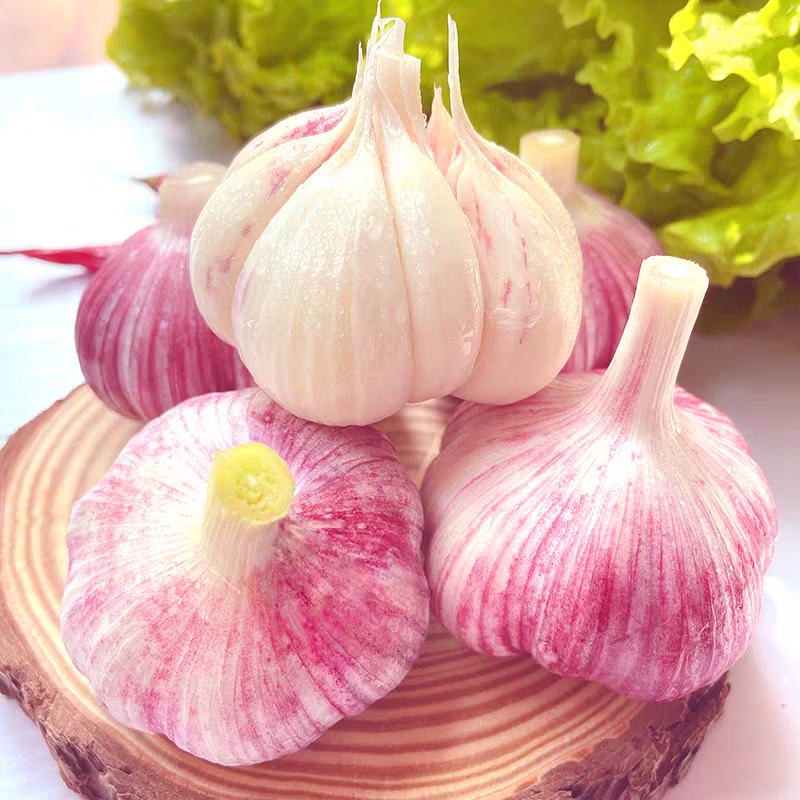2026年紫皮大蒜新鲜湿蒜 蒜香十足 生鲜蔬菜 净重3斤