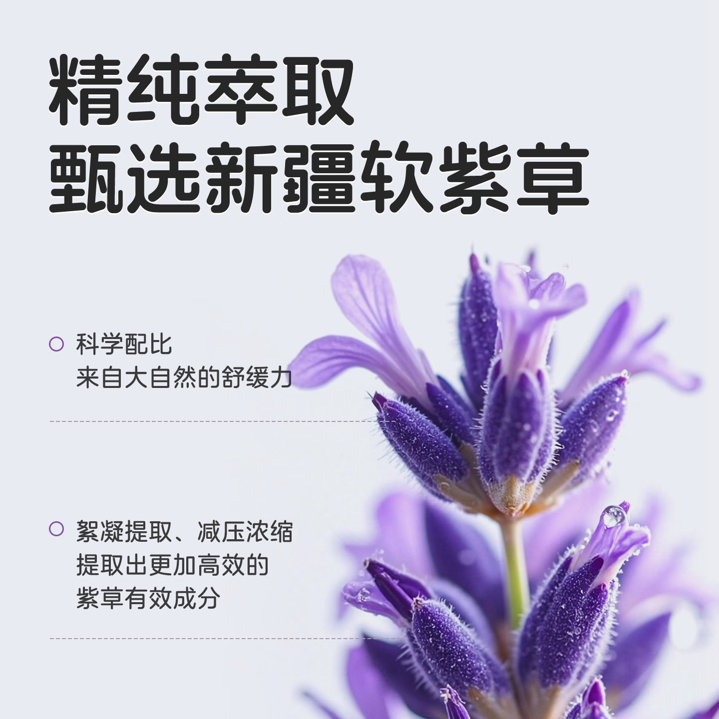 Akasugu爱舒屋紫草膏清凉舒缓儿童宝宝蚊虫叮咬外出便携多效舒润 【多买更实惠】多效舒润紫草膏3支装