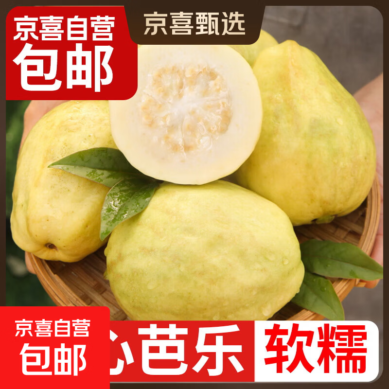 白心芭乐现摘番石榴青色发货脆甜新鲜水果孕妇低糖水果一整箱 两粒白心芭乐【单果100g起】
