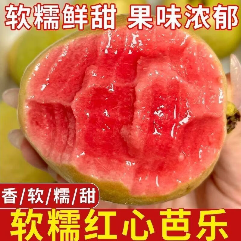 珍山辛农当季新鲜芭乐香糯软心低卡低热量轻食红白心双拼番石榴孕宝妈水果 白心奶油芭乐【产地推荐款】 5斤【家庭聚会款】