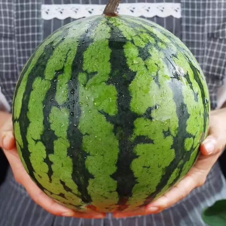 ������������������ �ڰ��Ѵ����֭����ˮ������ͷ��  ��ѡ�������� 1��װ��6-7� 27.9Ԫ