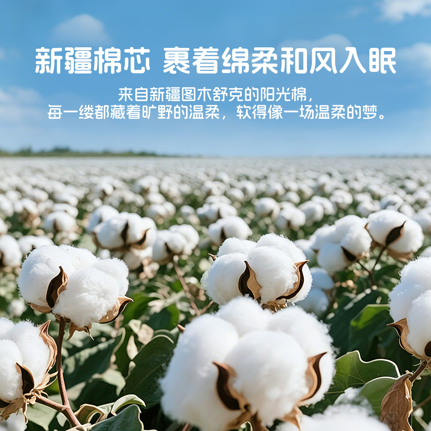 多喜爱（Dohia）夏凉被子空调被芯棉被子春秋四季通用家用卧室透气不闷汗夏凉被子 全棉填充透气夏凉被【格纹蓝】 1.5-1.8米床适用【203*229cm】 夏被