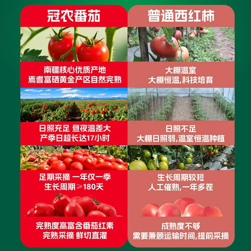 冠农股份新疆番茄汁果蔬汁西红柿汁代餐饮料310ml*12罐 25年去皮整番茄400g*12罐【整箱】