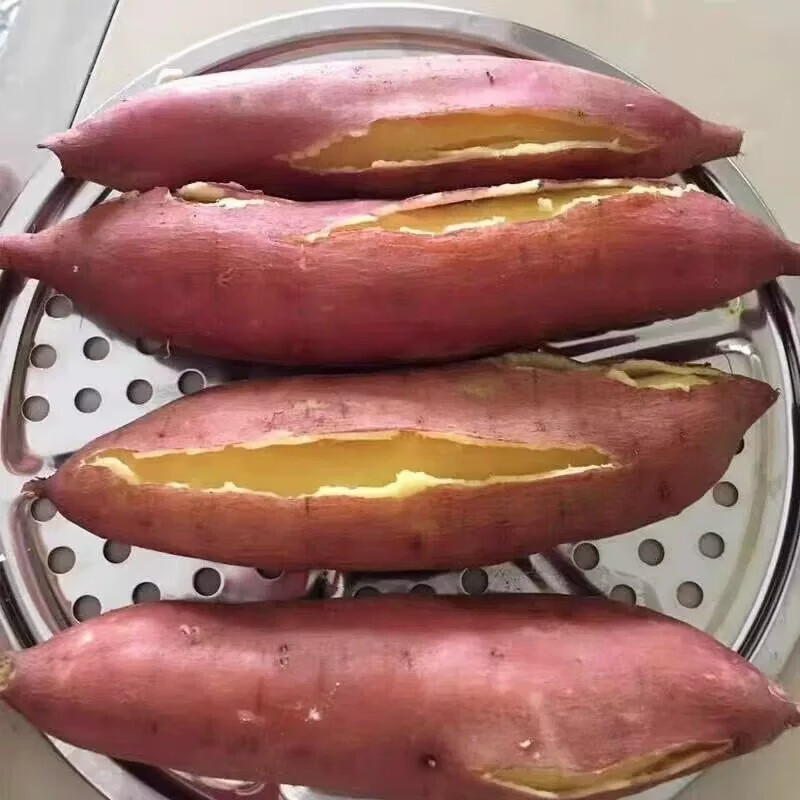 正宗陕西板栗薯9斤新鲜红薯沙地蜜薯糖心地瓜香薯山芋农家自种 带箱9斤大果 单果150克起