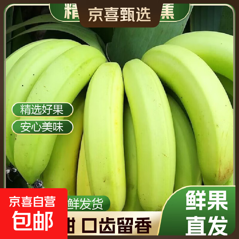 高山香蕉广西产地直发薄皮青果软糯香甜自然熟当季新鲜采摘纯天然 高山香蕉1斤