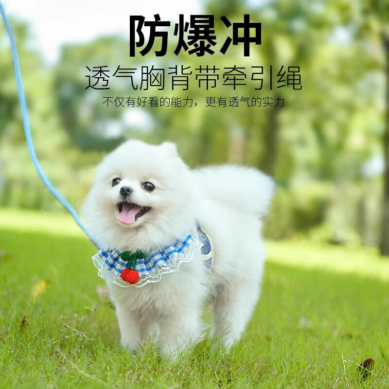 【甄选好物】狗狗牵引绳猫咪胸背带遛狗绳泰迪比熊中小型犬狗链宠 宠物牵引绳 -【蓝色樱桃】 M(建议7-15斤)