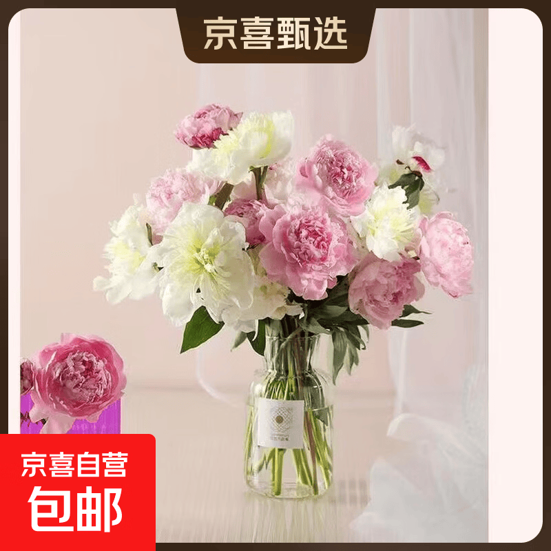 【四川重瓣芍药】芍药鲜花基地直发母亲节520礼物 四川重瓣芍药混色5枝40cm左右（粉色+红色