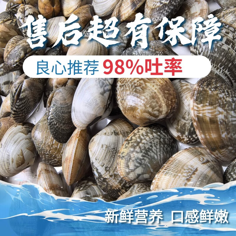 丹东鲜花甲蛤蜊花甲鲜活花甲原产地直发 中号4斤（每斤约60粒）