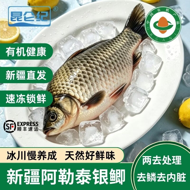 昆仑纪新疆海鲜阿勒泰野生鲫鱼有机大鲫鱼去鳞去内脏冷水鱼顺丰发货 阿勒泰野游银鲫1000-1100g/条 3条装
