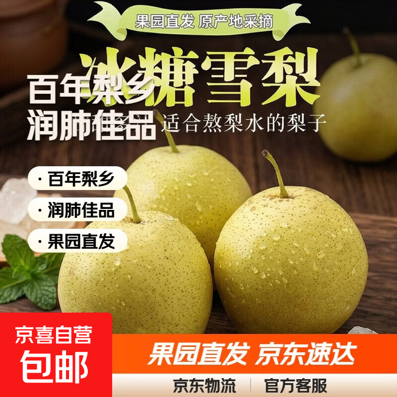 京喜加百年梨乡雪花梨【京严选】核心产区直发小吊梨汤冰糖雪梨润肺佳品 带箱2斤[净重1.6斤] 冰糖雪梨 果园直发 京东快递