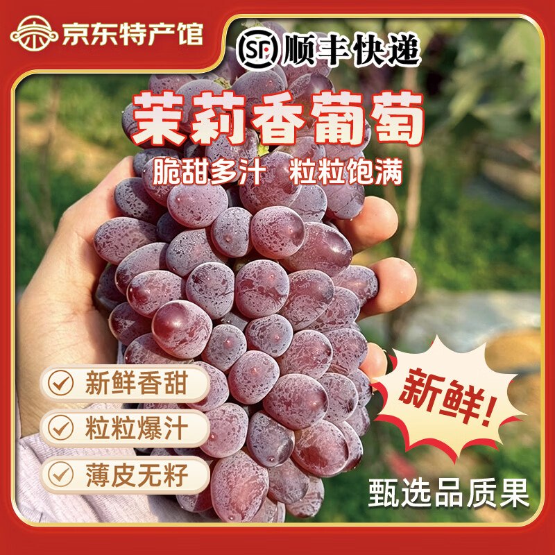 异果恋【顺丰】云南茉莉香葡萄 脆甜无籽应季新鲜水果红提子多地次日达 净重2斤装（甄选好果）