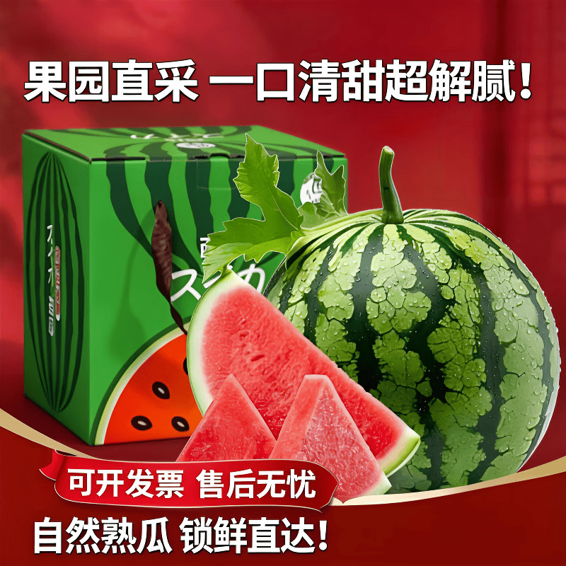 闽域寻鲜麒麟西瓜现摘速发当季新鲜时令礼盒水果沙瓤云南生鲜水果麒麟西瓜 5-6斤【6S甄选瓜果】清甜水润 多层保护