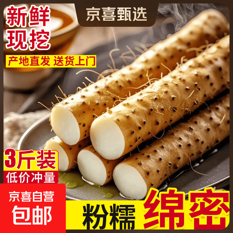 铁棍山药麻山药产地直发养生垆土山药现挖儿童辅食孕妇 河北铁棍山药3斤净重 20-30cm