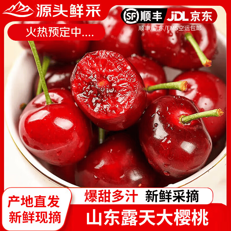 【中国特产·鲁产名品馆】御山人【头茬预定】 山东大樱桃 净重4斤 精选单果22-26mm