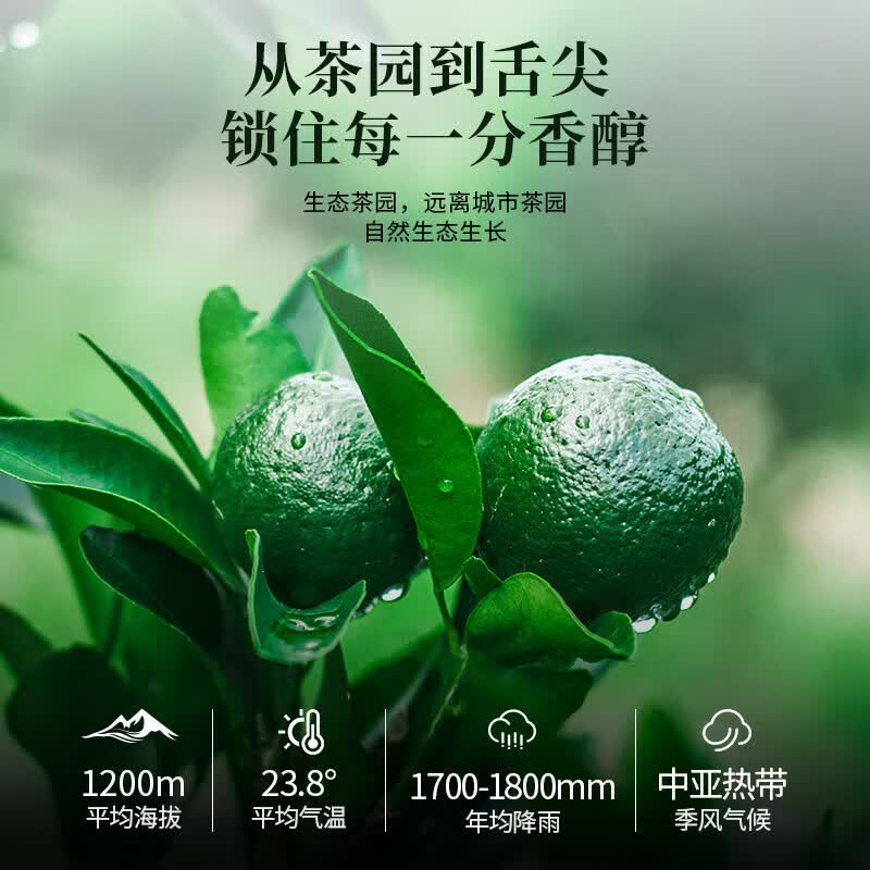 刀蔓陈皮正宗广东老陈皮红皮老陈皮干陈皮泡水专用煲汤长辈送礼 【经典铁罐装】 60克*1罐 老陈皮