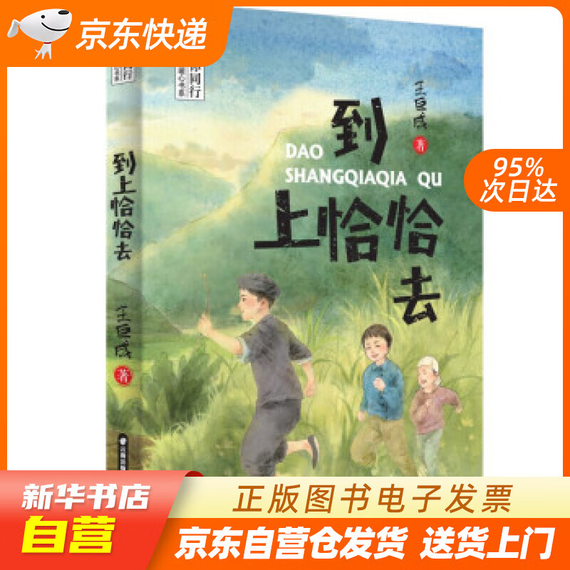 【满59包邮 全新正版】与你同行 王巨成暖心书系  到上恰恰去