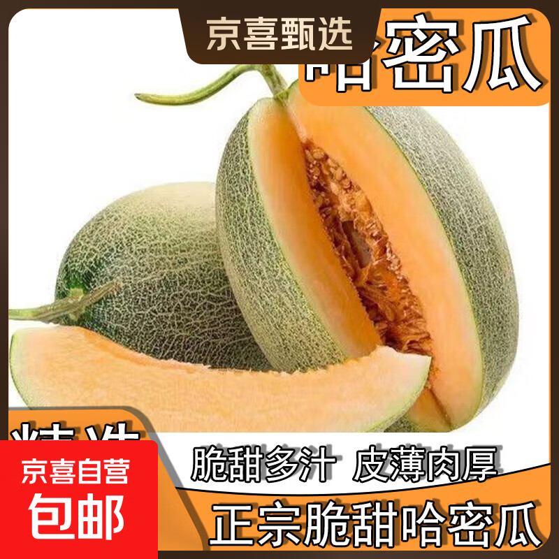 京喜加晓蜜25号爆甜哈密瓜新鲜现摘应季水果西州蜜 中小果单果≥750g带箱2斤