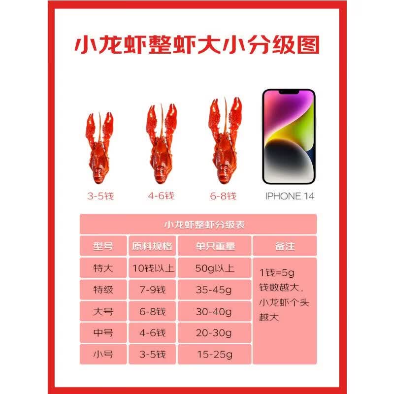 baoqi 湖北特产礼盒麻辣蒜蓉小龙虾藕带送礼加热即食大号液氮锁鲜大虾 湖北特产泡藕带【1600克装礼盒装】