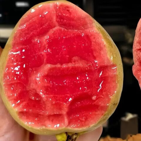 珍山辛农当季新鲜芭乐香糯软心低卡低热量轻食红白心双拼番石榴孕宝妈水果 白心奶油芭乐【产地推荐款】 5斤【家庭聚会款】