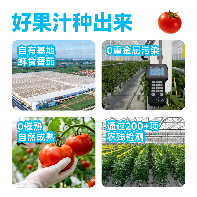 一颗大™番茄风味饮用水 0蔗糖 0脂肪 膳食纤维 健康整箱饮料450mL*15瓶 番茄柠檬水450ml*15