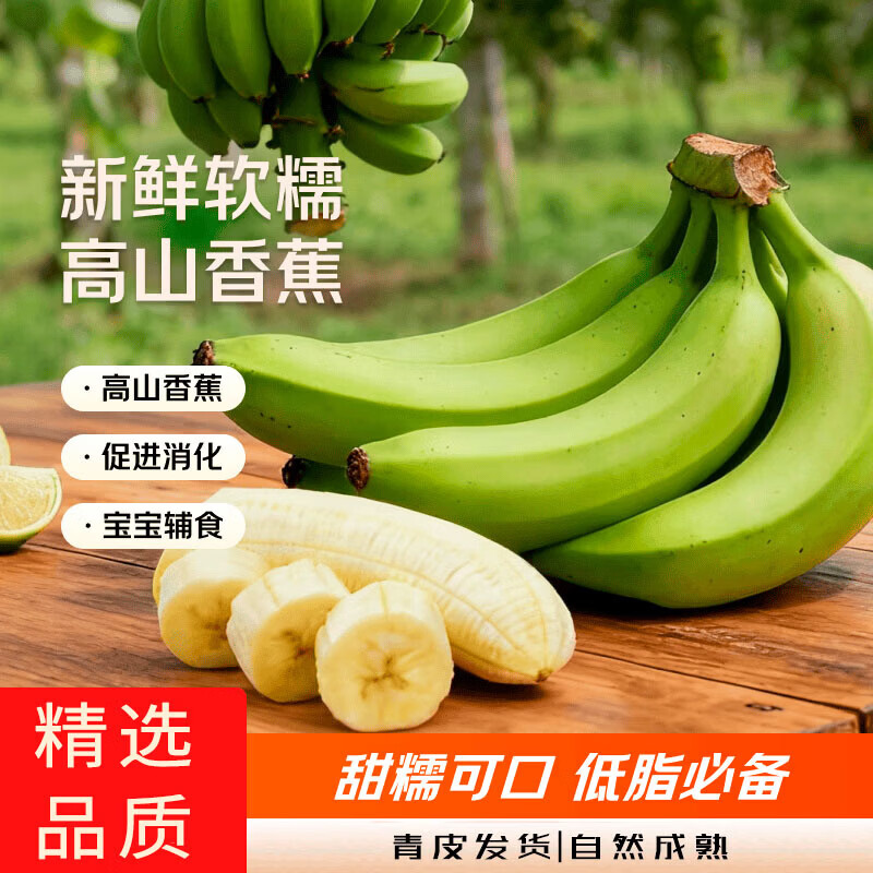 东鲜丰云南青香蕉新鲜高山香蕉水果国产香蕉 净重4.5斤【人工挑选】