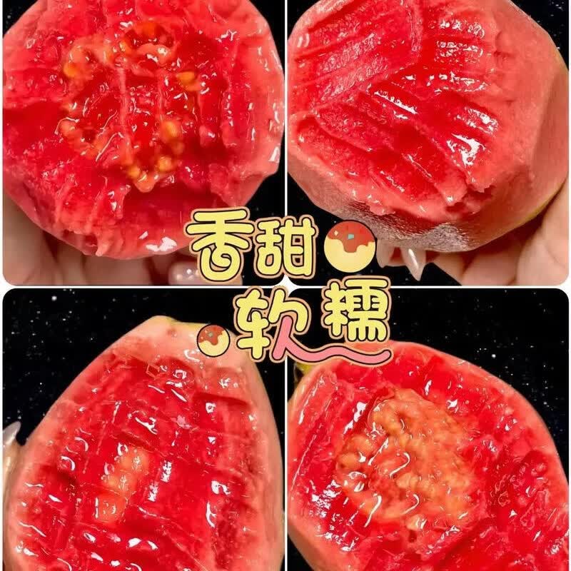 珍山辛农当季新鲜芭乐香糯软心低卡低热量轻食红白心双拼番石榴孕宝妈水果 白心奶油芭乐【产地推荐款】 5斤【家庭聚会款】