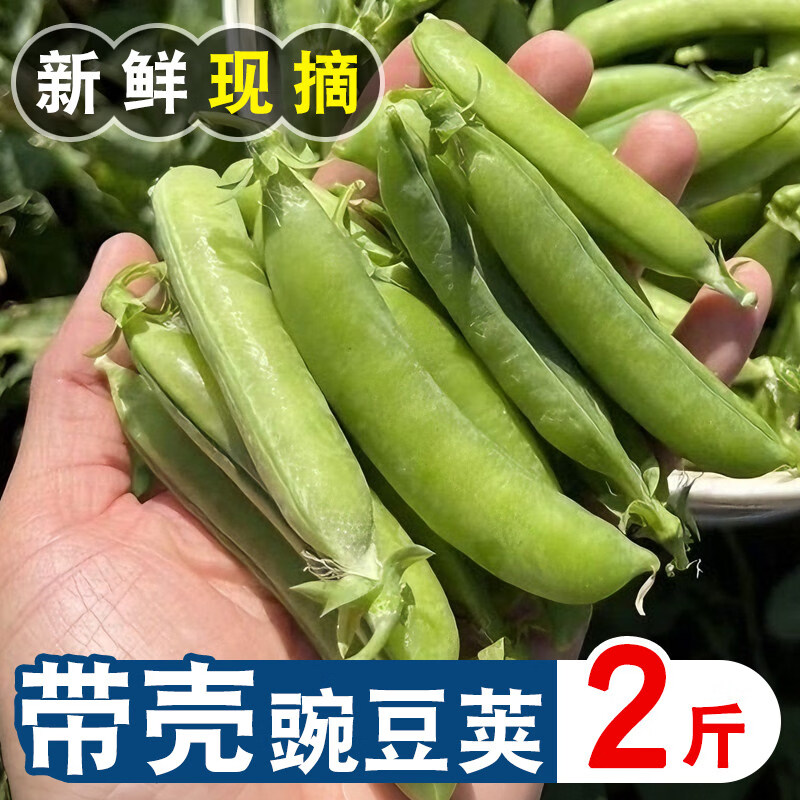 四川豌豆新鲜带壳豌豆荚农户自种青豌豆现摘现发饱满豌豆一整箱 2斤 净重带壳豌豆荚