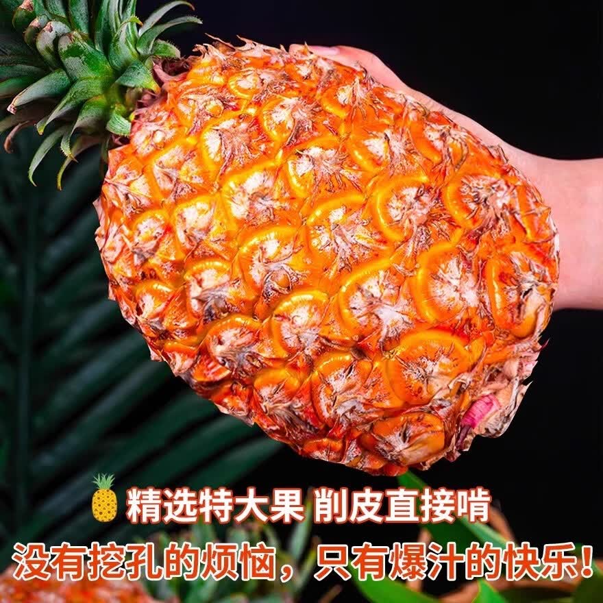 鲜宝道海南金钻凤梨新鲜整箱发货 5斤凤梨3-5个净重4.5斤