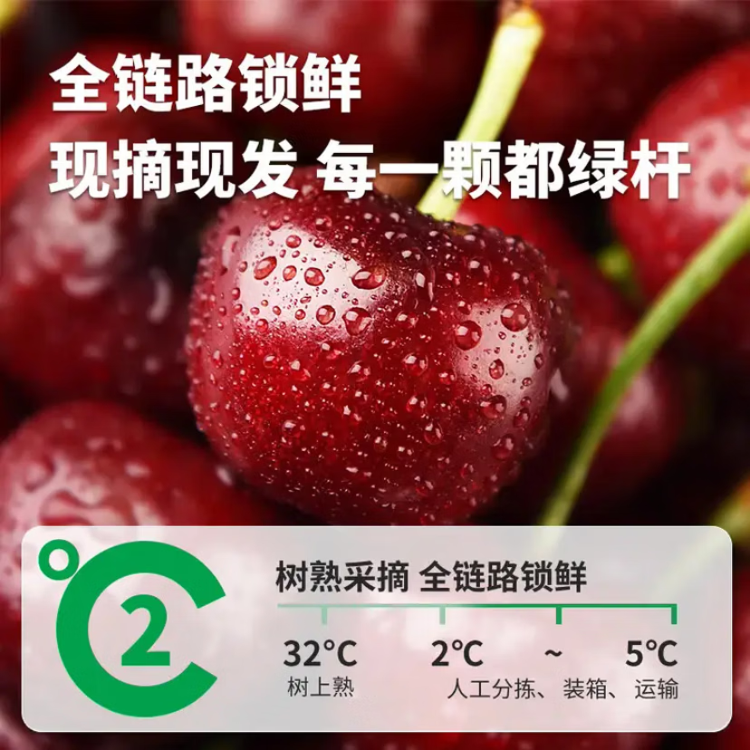 鲁禧海岸山东大樱桃 国产车厘子4J级多规格大樱桃 应季水果 新鲜时令生鲜 4斤(净重) 带箱5斤-【头茬露天樱桃】 手工精选果22-26mm