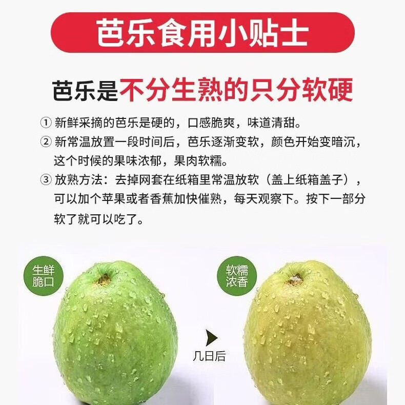 珍山辛农当季新鲜芭乐香糯软心低卡低热量轻食红白心双拼番石榴孕宝妈水果 白心奶油芭乐【产地推荐款】 5斤【家庭聚会款】