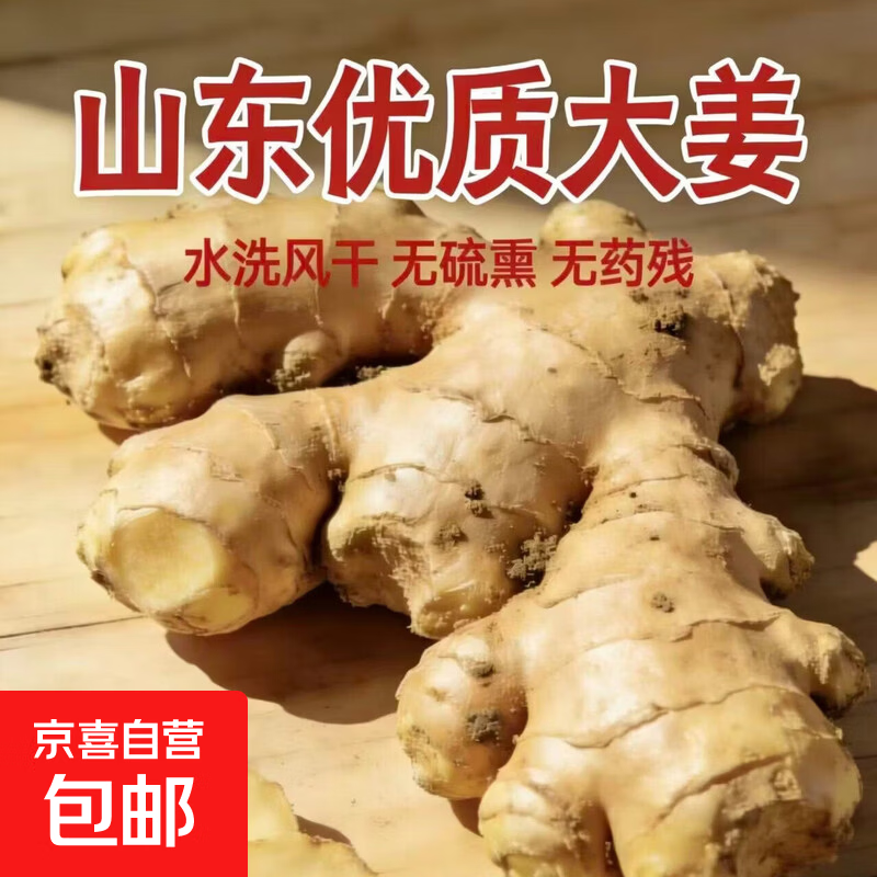 山东大姜优质生姜老姜风干姜辛辣十足无硫熏带箱称重 产地直发 山东大姜带箱1斤