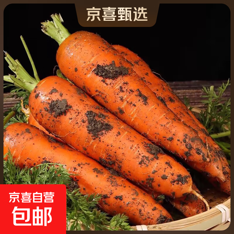 京喜加山东新鲜胡萝卜水果胡萝卜现挖现发蔬菜水果沙地红萝卜减脂 带泥胡萝卜5斤 净重 含箱