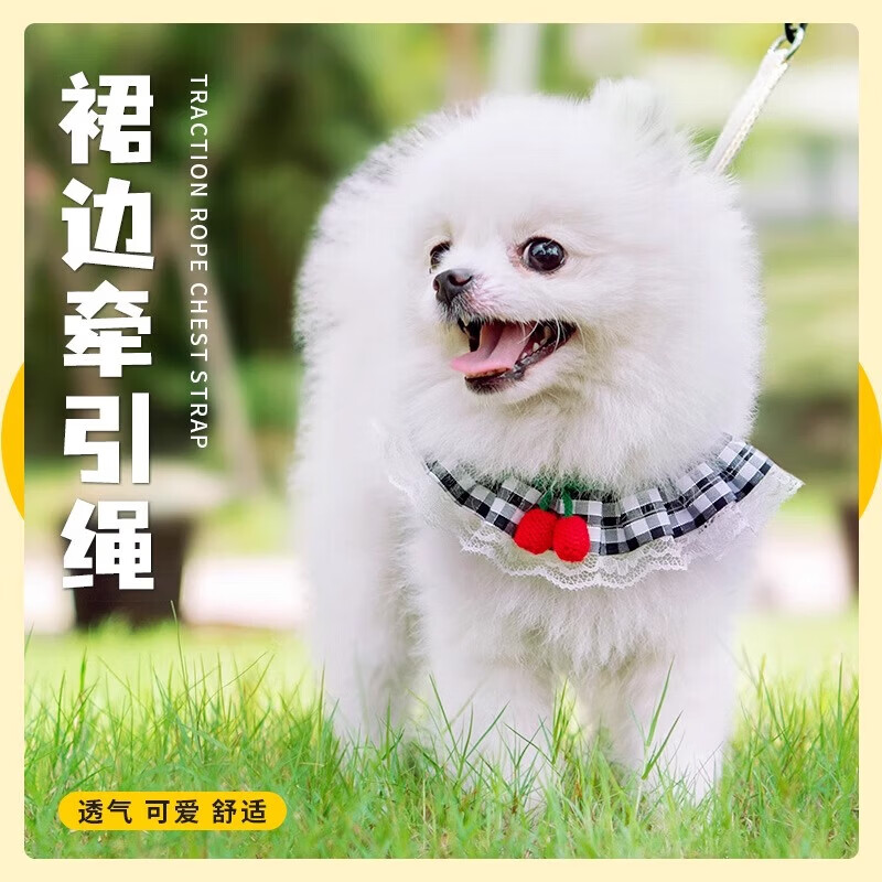 【甄选好物】狗狗牵引绳猫咪胸背带遛狗绳泰迪比熊中小型犬狗链宠 宠物牵引绳 -【蓝色樱桃】 M(建议7-15斤)
