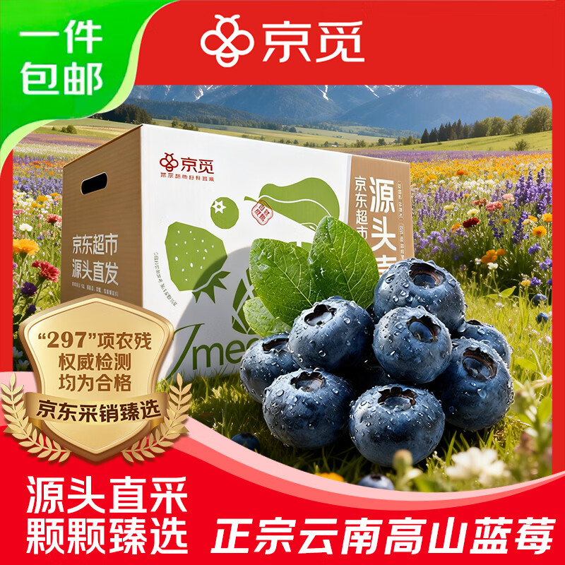 京觅云南蓝莓 4盒中果15mm+装净重100g/盒  生鲜年货水果源头直发