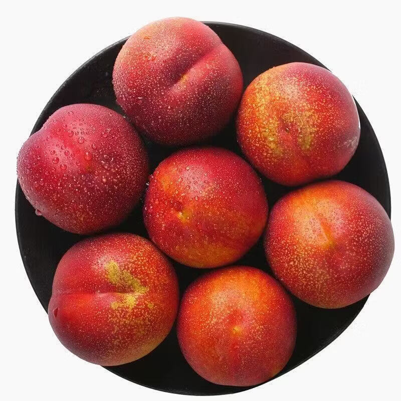 果食鲜丰山东黄心红油桃新鲜水果蜜桃桃子脆桃脆甜多汁 净重4.5斤精品中果【每斤6-8个】